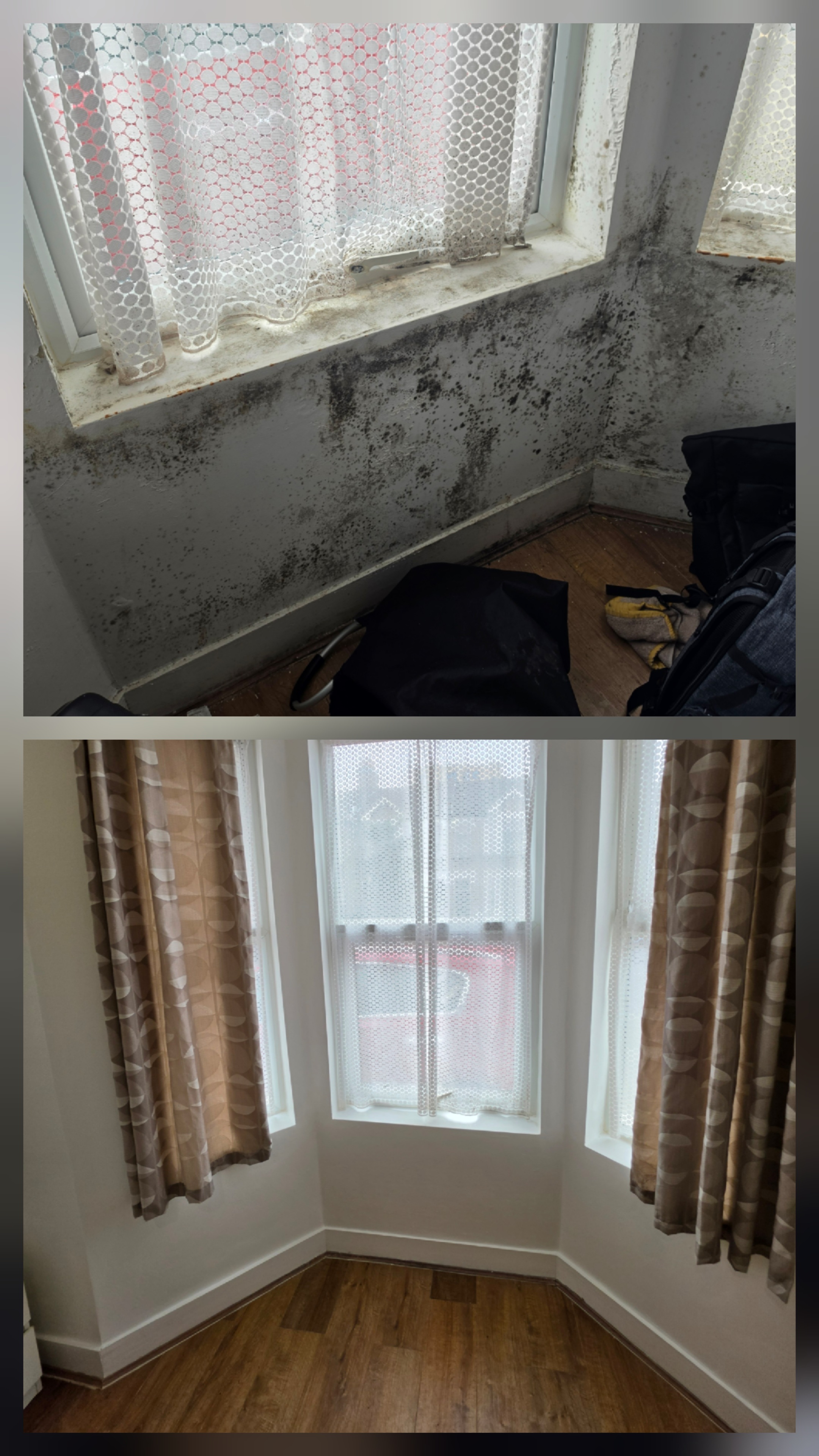 Custom Painting Work